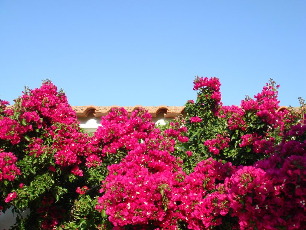 Monte Dos Arneiros Hotell Lavre Exteriör bild